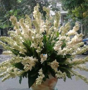 Toko Bunga Karasak Bandung